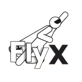 Fly X Game Review